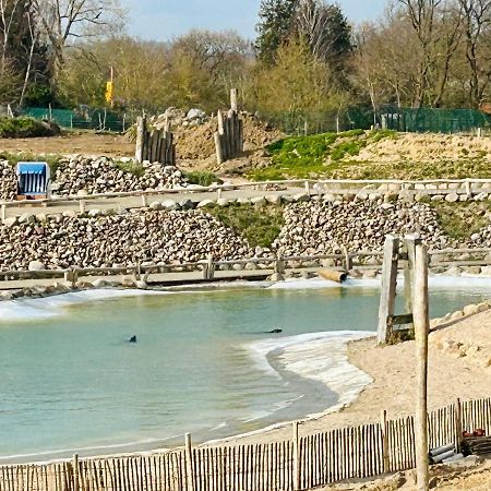 Kuestenbude Robbe グレーミッツ エクステリア 写真