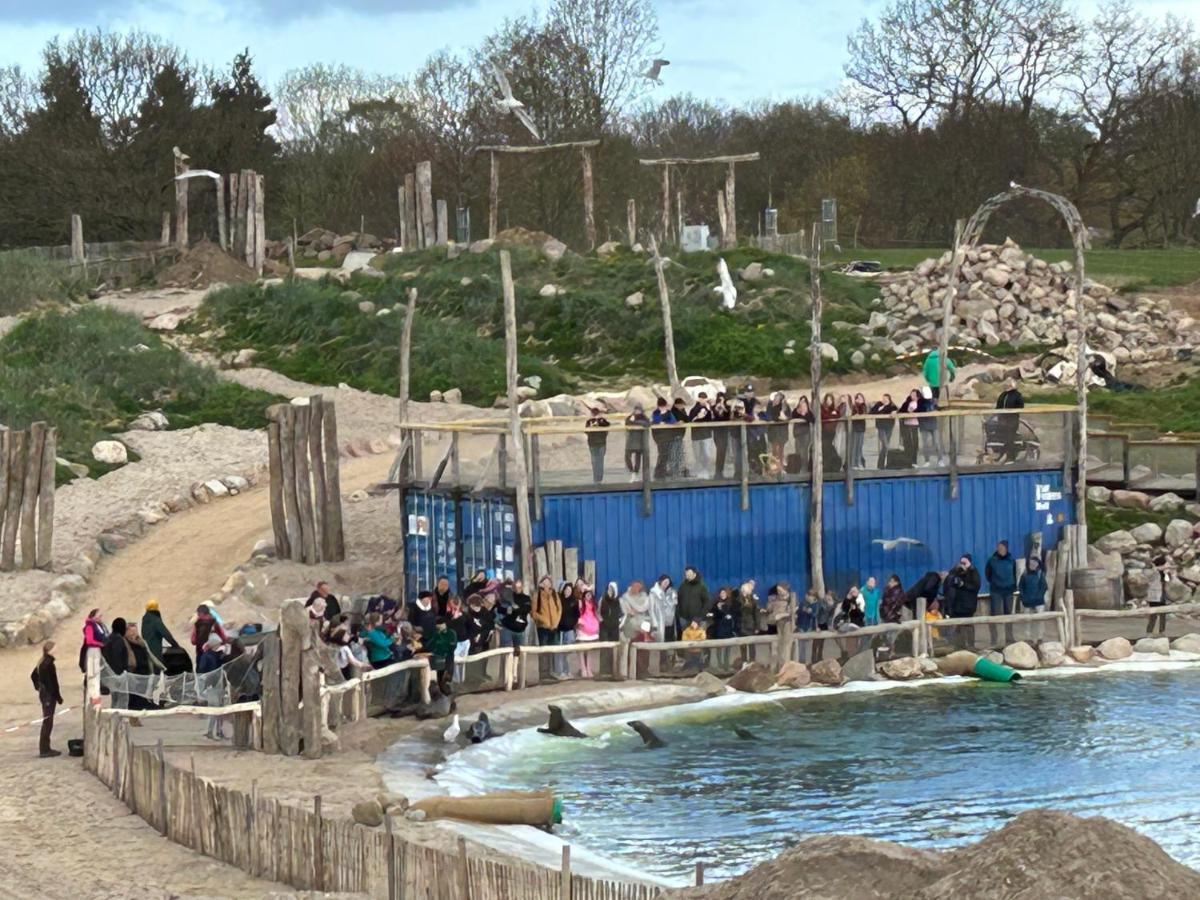 Kuestenbude Robbe グレーミッツ エクステリア 写真